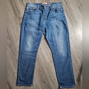 7 Seven Jeans High Waist Josephina Button Fly Stretch Jeans 32